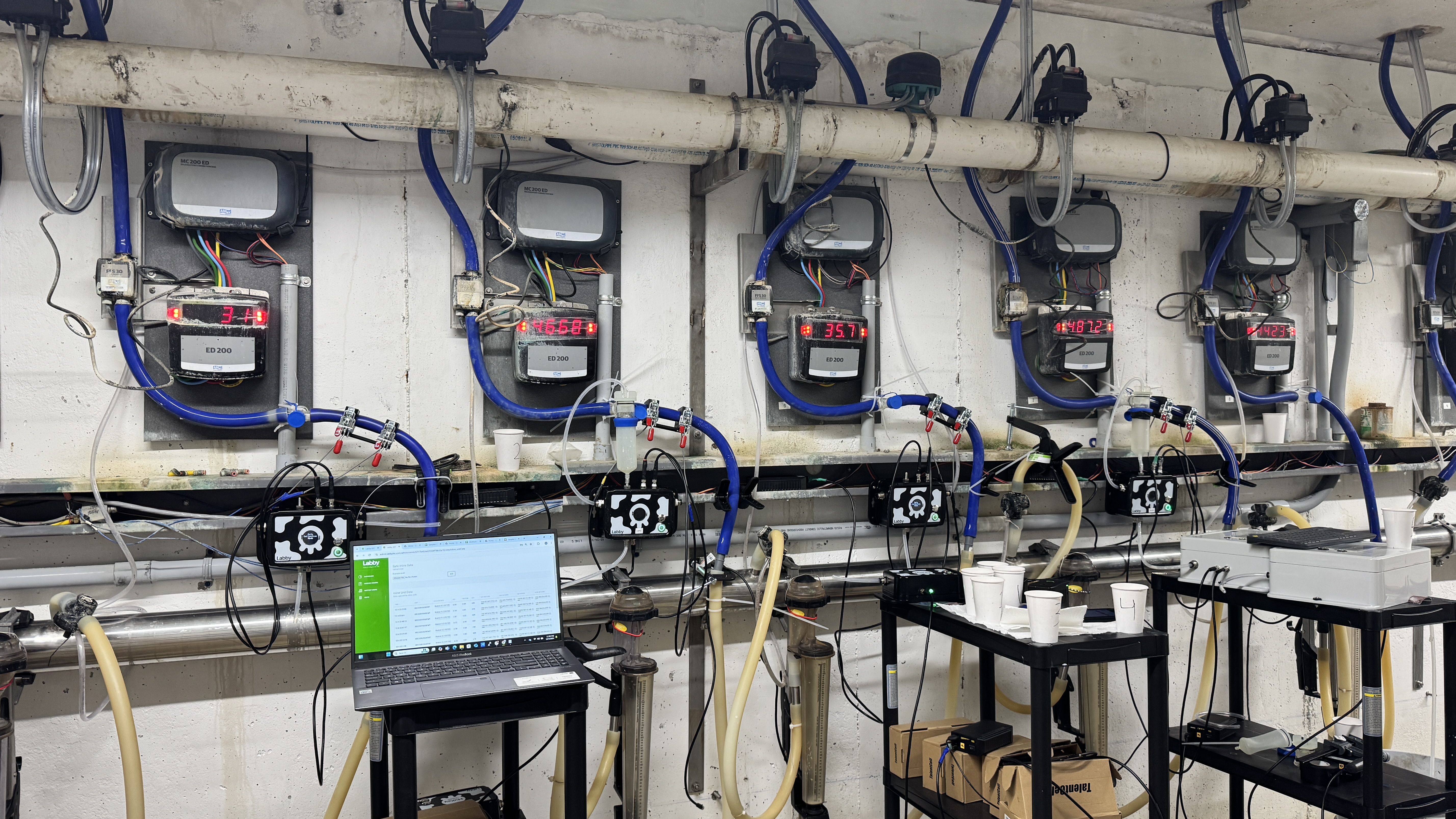 Labby sensor in milking parlor