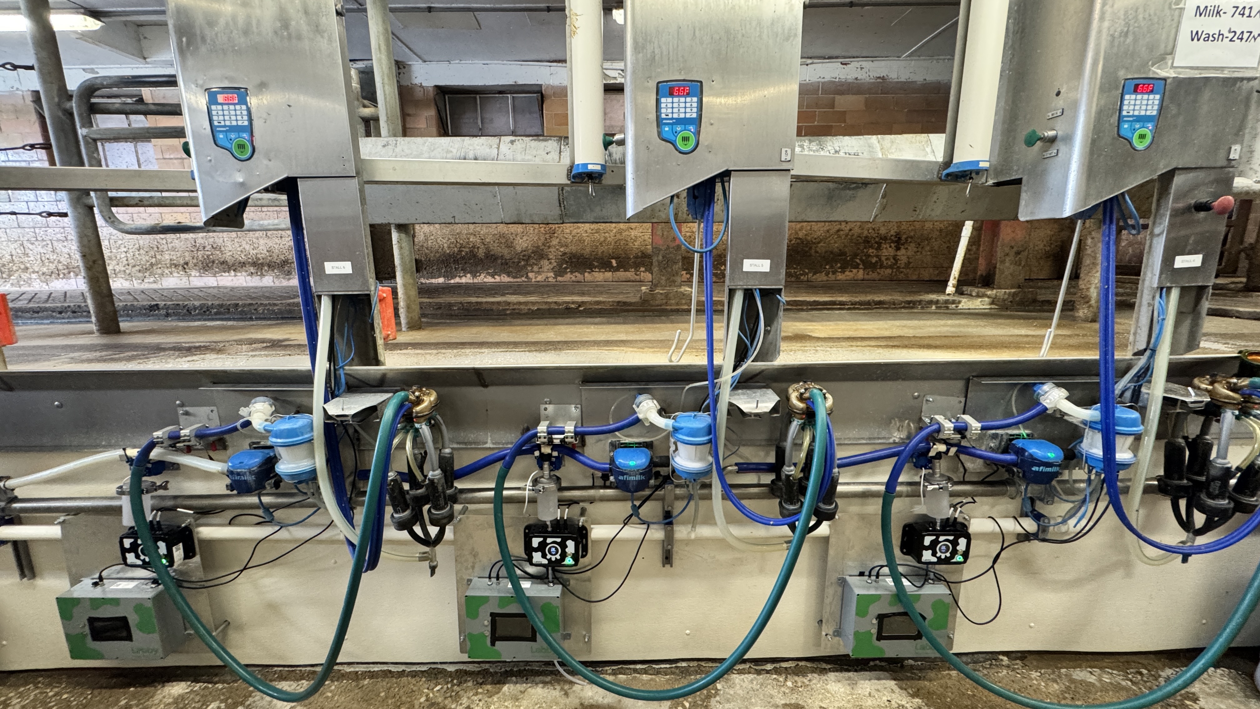 Multiple Labby sensor units installed across parlor stalls